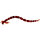 Bloodworm