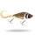 Spotted Bullhead - GOG