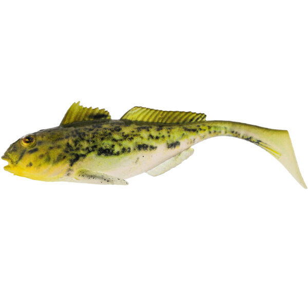 Headlight Goby