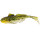 Headlight Goby