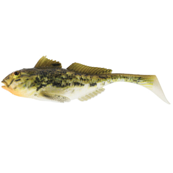 Spotted Goby