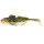 Spotted Goby