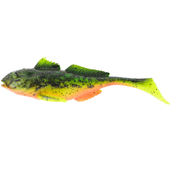 Fire Goby