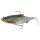 Westin Ricky The Roach Shadtail R2F 18cm Limitiert f&uuml;r klares Wasser